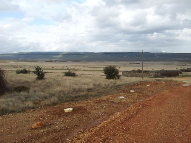 32 hidrosiembras plantaciones